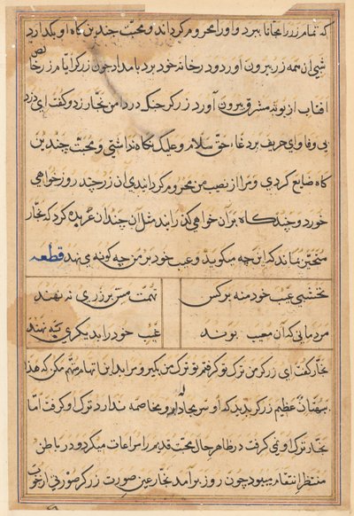 Page from Tales of a Parrot Tuti-nama: text page by Unbekannt