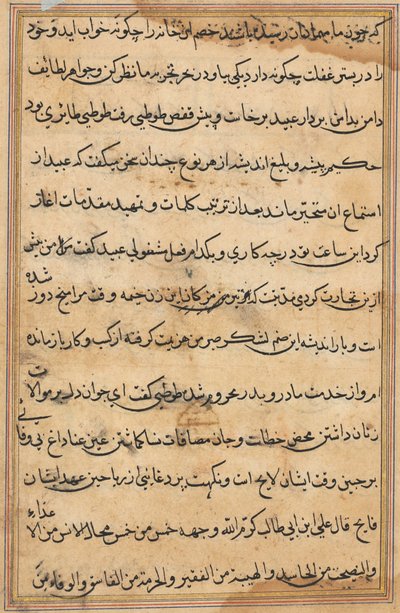 Page from Tales of a Parrot Tuti-nama: text page by Unbekannt
