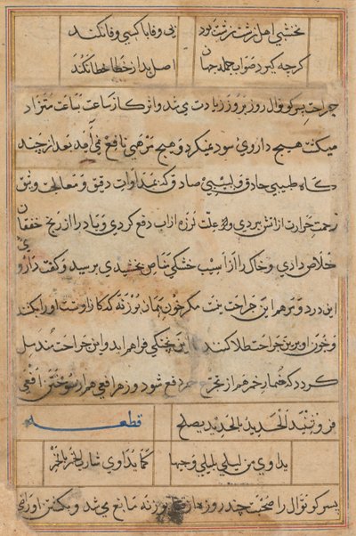 Page from Tales of a Parrot Tuti-nama: Text Page by Unbekannt