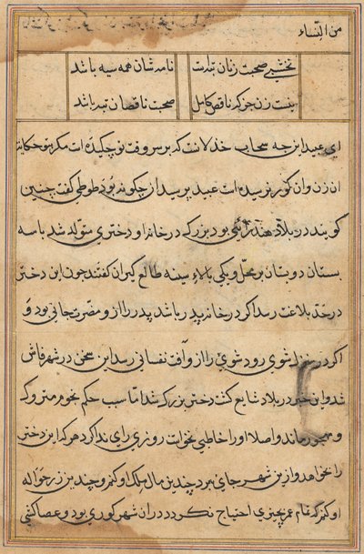 Page from Tales of a Parrot Tuti-nama: text page by Unbekannt