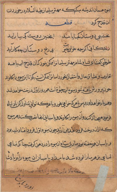 Page from Tales of a Parrot Tuti-nama: text page by Unbekannt