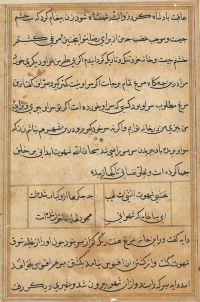 Page from Tales of a Parrot Tuti-nama: text page, c. 1560 by Unbekannt