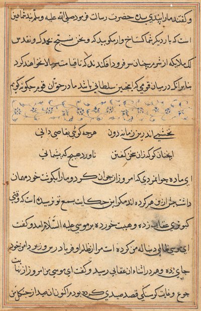 Page from Tales of a Parrot Tuti-nama: text page by Unbekannt