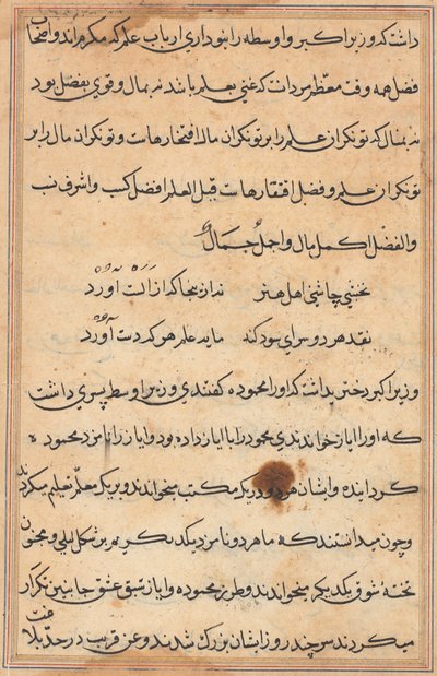Page from Tales of a Parrot Tuti-nama: Text Page by Unbekannt