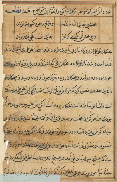 Page from Tales of a Parrot Tuti-nama: text page, c. 1560 by Unbekannt