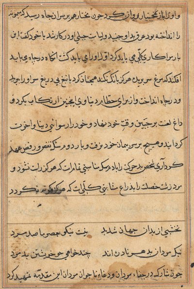 Page from Tales of a Parrot Tuti-nama: text page by Unbekannt