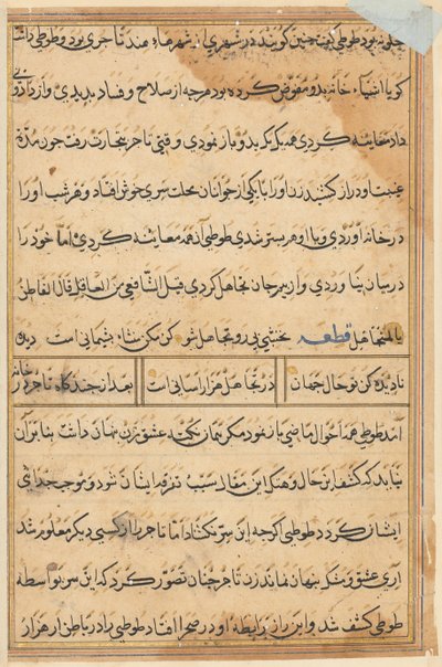 Page from Tales of a Parrot Tuti-nama: text page by Unbekannt