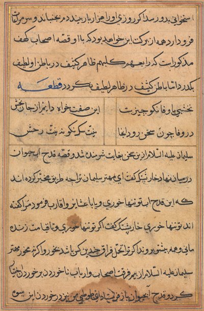 Page from Tales of a Parrot Tuti-nama: Text Page by Unbekannt