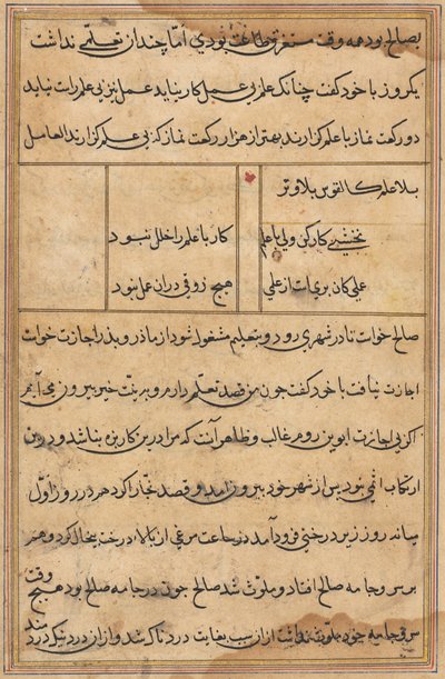 Page from Tales of a Parrot Tuti-nama: text page, c. 1560 by Unbekannt