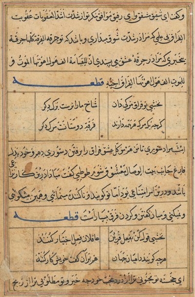Page from Tales of a Parrot Tuti-nama: text page by Unbekannt