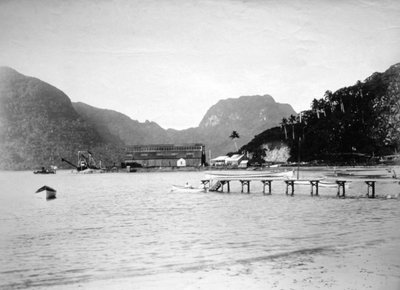 Pago Pago Harbor, in the Island of Tutuila, American Samoa by Unbekannt
