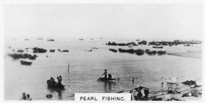 Pearl Fishing, Australia by Unbekannt
