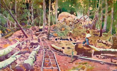 Penetrating the Amazonian Forest - Madeira-Mamoré Railway by Unbekannt