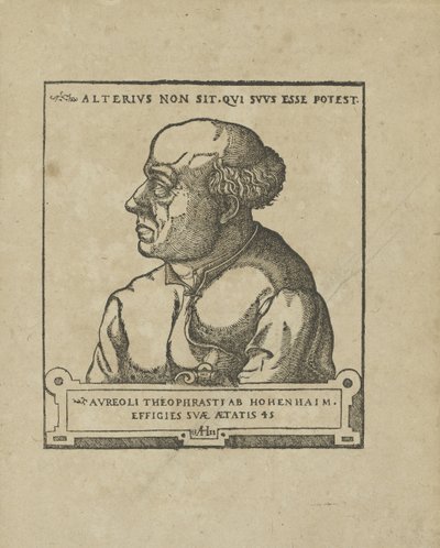 Philippus Theophrastus Aureolus Bombastus von Hohenheim Paracelsus by Unbekannt