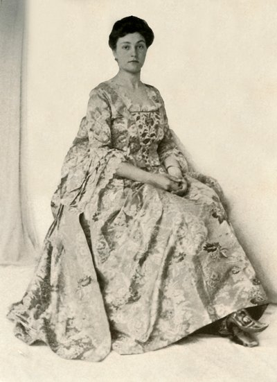 Photograph of a Kincob Brocade, with Silk Embroidered Stomacher by Unbekannt