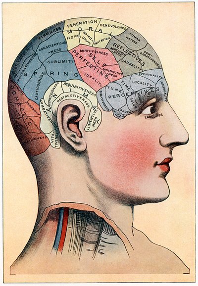 Phrenology chart, showing presumed areas of activity of the brain, c1920 by Unbekannt
