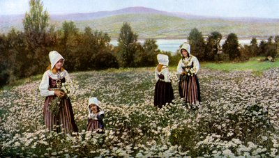 Picking Flowers in a Meadow Near Leksand, Sweden by Unbekannt