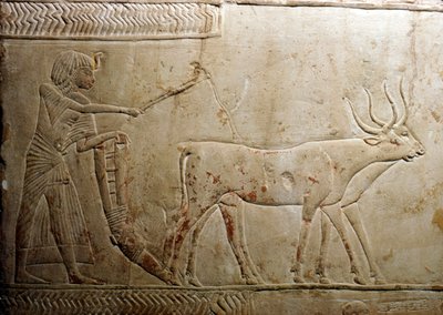 Ploughing from an Egyptian Stele, 18th Dynasty by Unbekannt