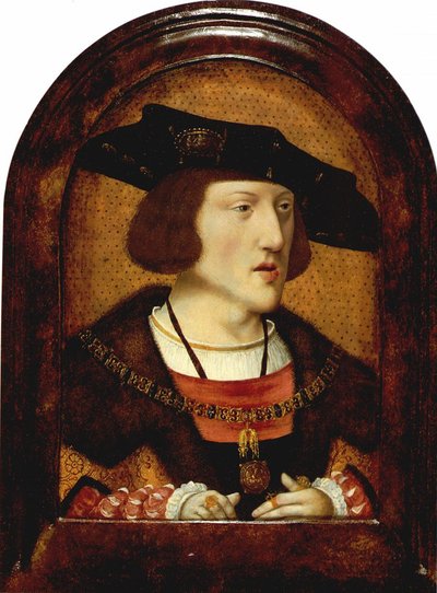 Portrait of Charles V of Spain 1500-1558, c. 1520 by Unbekannt