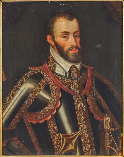 Portrait of Ferdinand II, Archduke of Austria by Unbekannt