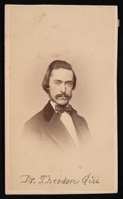 Portrait of Theodore Nicholas Gill by Unbekannt