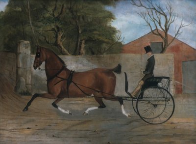 Portrait of a Gentleman in a Carriage by Unbekannt