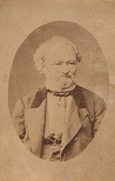 Portrait of pianist and composer Ferenc Erkel 1810-1893, c. 1875 by Unbekannt