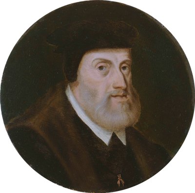 Portrait of the Emperor Charles V by Unbekannt