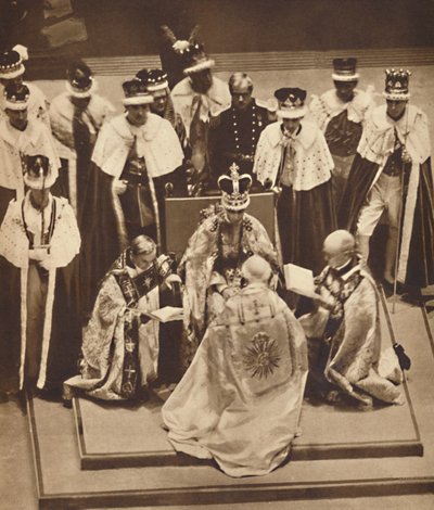Primate Kneels at the King