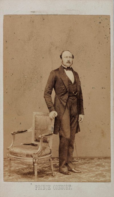 Prince Albert, Consort of Queen Victoria by Unbekannt