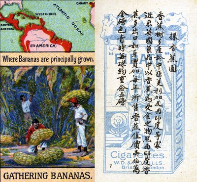 Principal areas for growing bananas, from the series of 