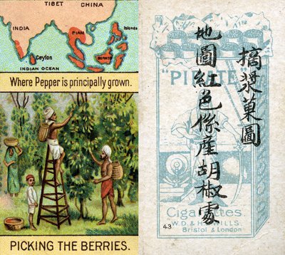 Principal areas for the production of pepper, from the series of 