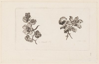 Print by Unbekannt
