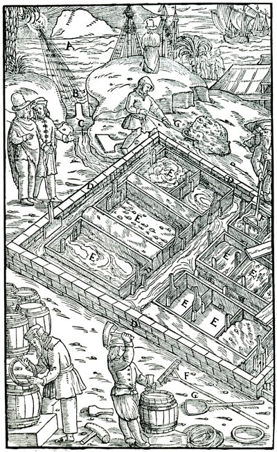 Producing Salt by Evaporating Sea Water in Salt Pans by Unbekannt