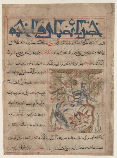 Qualities of Ringdoves (recto), On the Benefits of Quails (verso) by Unbekannt
