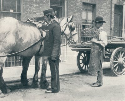 RSPCA Inspector Examining a Horse by Unbekannt