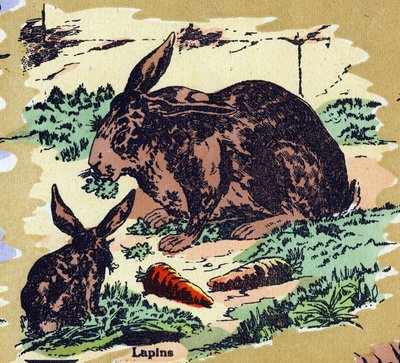Rabbits and carrots. Illustrated alphabet. Imageries reunited in Jarville-Nancy, beginning of the 20th century. by Unbekannt