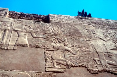 Rameses II and the Tree of Life, Karnak, Egypt by Unbekannt