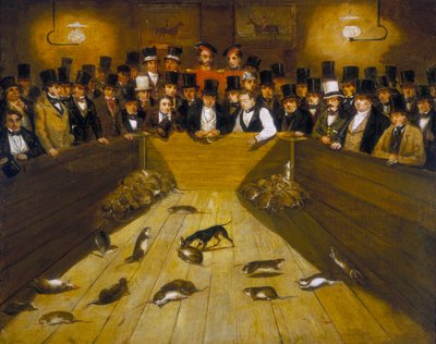 Rat-Catching at the Blue Anchor Tavern, Bunhill Row, Finsbury by Unbekannt