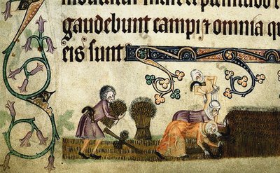 Reaping and Binding Sheaves from the Luttrell Psalter by Unbekannt