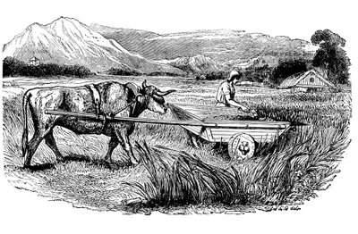 Reconstruction of Roman reaping cart, as described by Pliny by Unbekannt