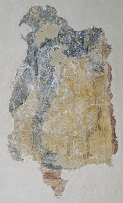 Remains of a Quadruped by Unbekannt