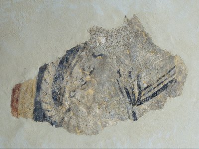 Remains of a Quadruped by Unbekannt
