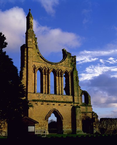 Remains of the facade, Byland Abbey, North Yorkshire by Unbekannt