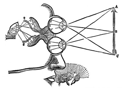 Rene Descartes illustration of the co-ordination of the senses, 1692 by Unbekannt