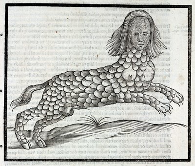 Representation of the Creature Lamia (Sybaris) - Engraving from History of Four-Footed Beasts by Edward Topsell 1607 by Unbekannt
