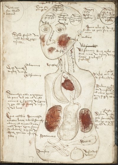 Representation of an Aristotelian Theory of Consciousness From: De corpore et anima by Unbekannt