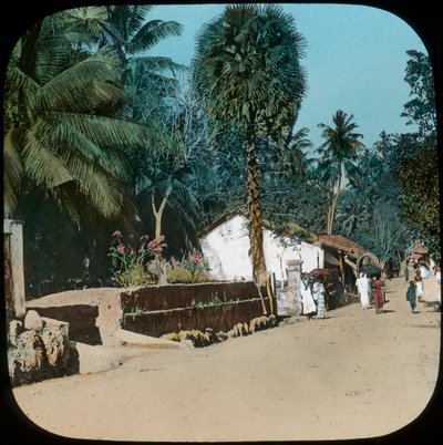 Road from Colombo to Galle, Colombo, Ceylon by Unbekannt
