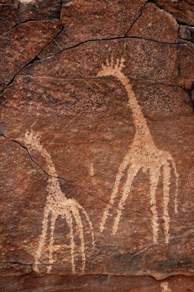 Rock art, Prehistory: Detail of an engraving of giraffes in the Uweinat massif, Egypt (Period from 8000 to 3000 years BC). Photography by Unbekannt