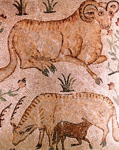 Roman Mosaic of a Ram, a Cow and Calf by Unbekannt